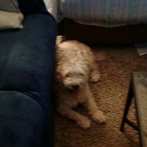 Meet your Posher, Charleen